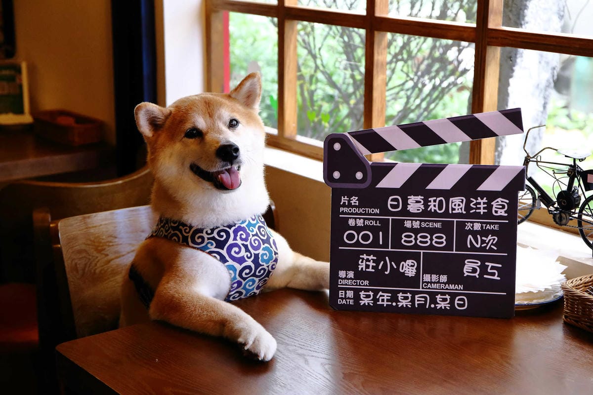 【食。宜蘭】日暮和風洋食館〜大胃王份量的日式早午餐，美味又好拍，IG人氣打卡餐廳！