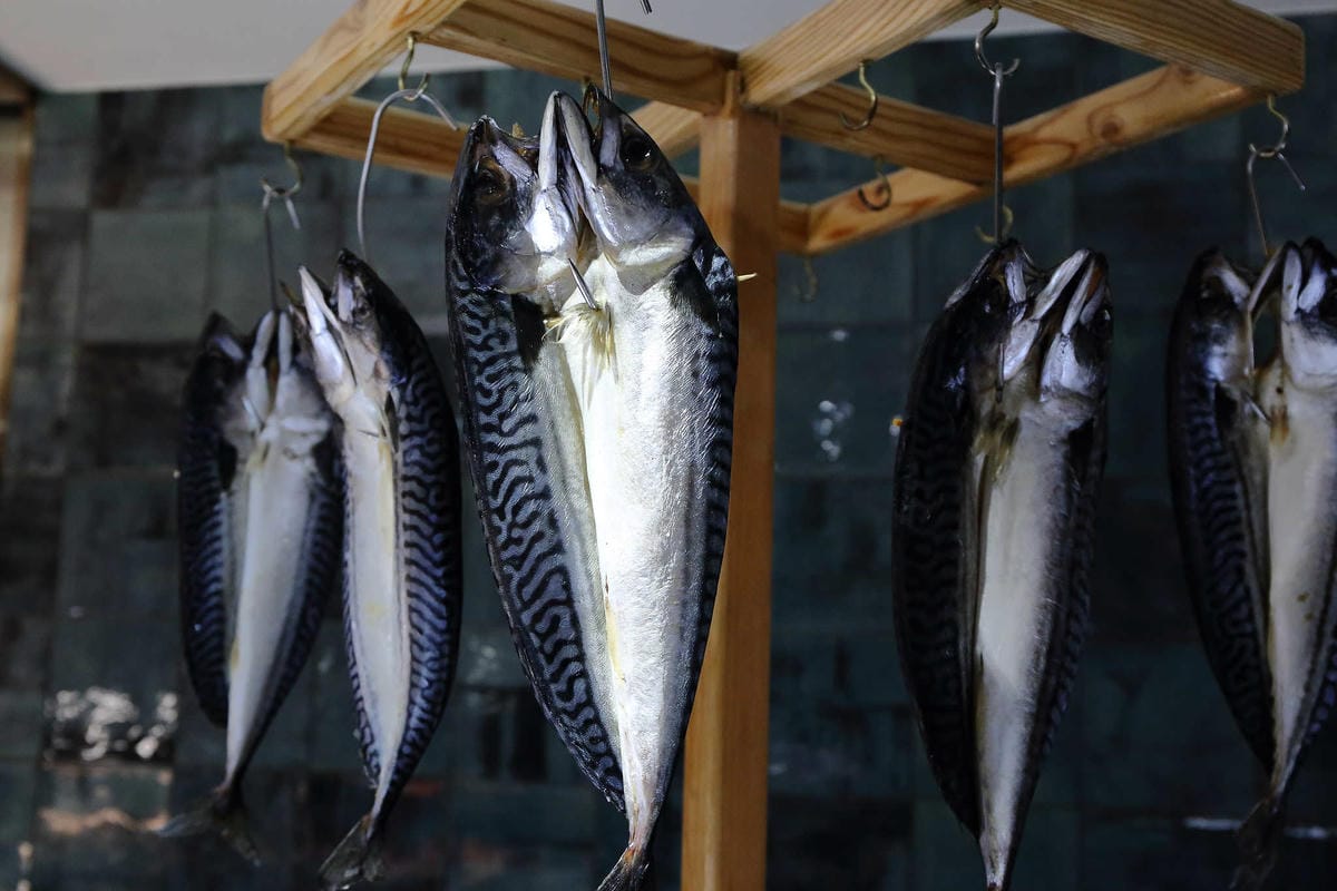 【食。台北】王朝大酒店SUNNY BUFFET〜耗資億元全新打造，CP值超高吃到飽Buffet，生日爽爽呷好料，當日壽星免費！