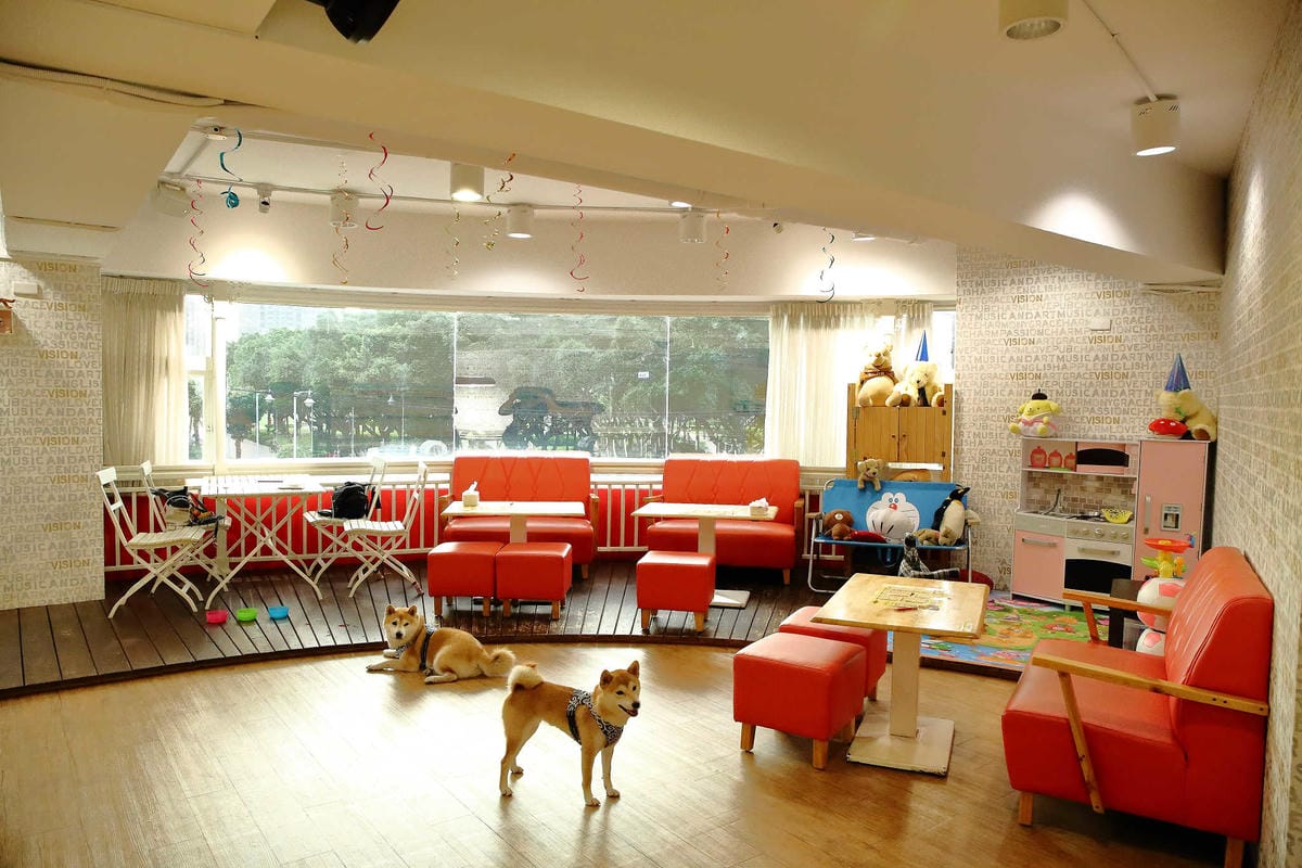 【食。永和】豐宇親子寵物友善餐廳〜永和親子寵物餐廳/義大利麵。180度絕佳視野、全天候早午餐、兒童遊戲區，媽寶聚會最佳地點(已歇業)