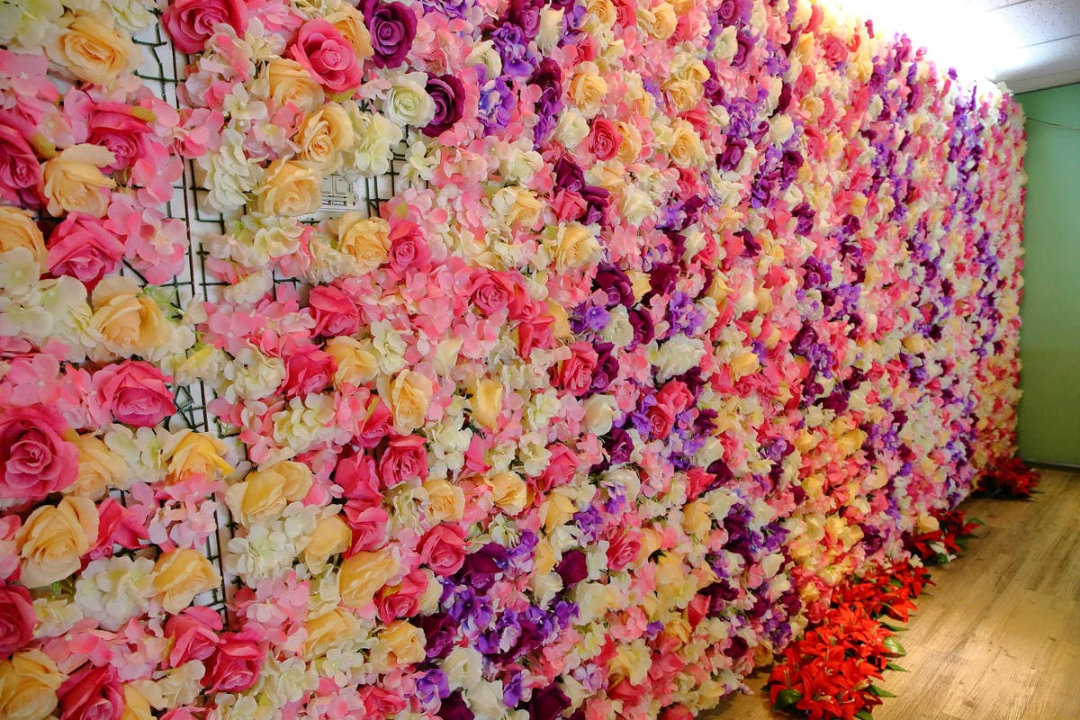 【食。蘆竹】榕樹下璞味綿綿冰〜桃園古早味冰品推薦。綿綿冰+網美最愛花牆，IG打卡必拍，吃冰也要浪漫的吃！(已歇業)