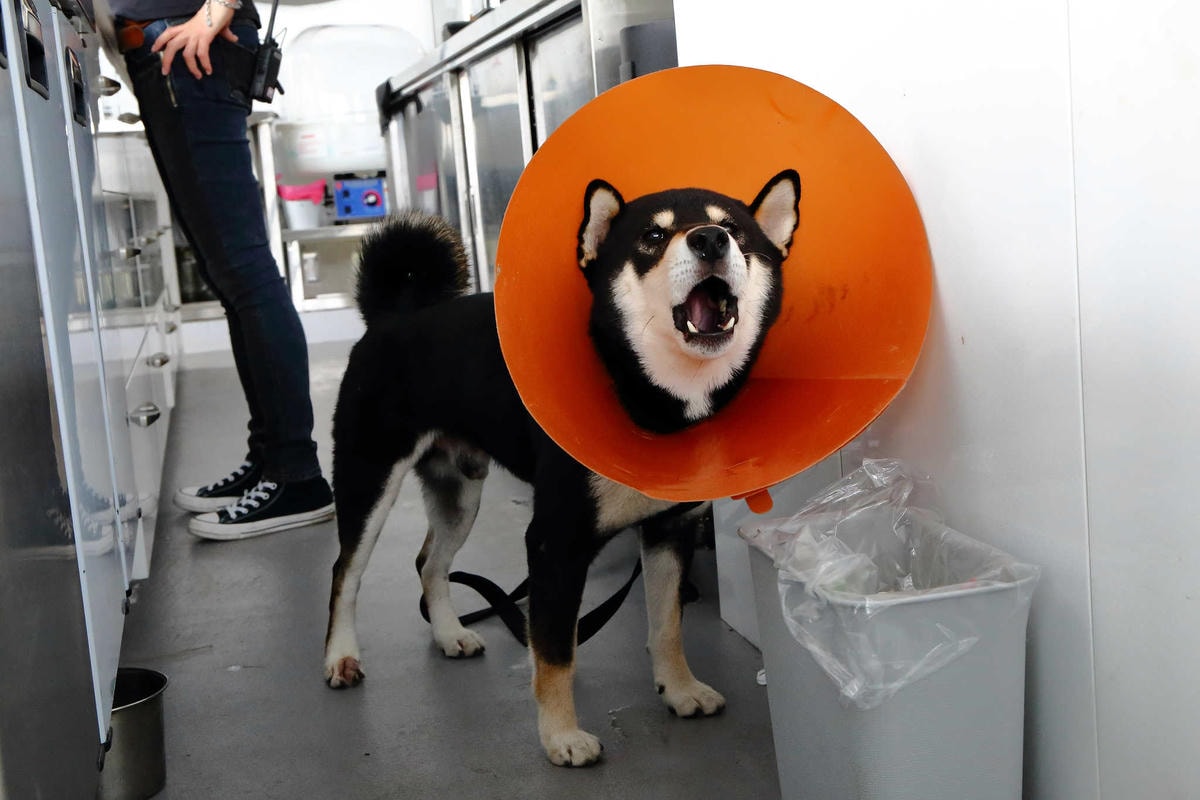 【食。八里】CREMA 93 CAFE〜希臘風海景咖啡廳,重機客最愛,輕食、義大利麵、咖啡、雲朵鬆餅,有吃有玩有美景!