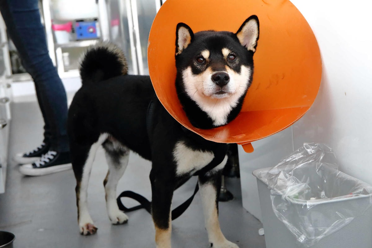 【食。八里】CREMA 93 CAFE〜希臘風海景咖啡廳,重機客最愛,輕食、義大利麵、咖啡、雲朵鬆餅,有吃有玩有美景!