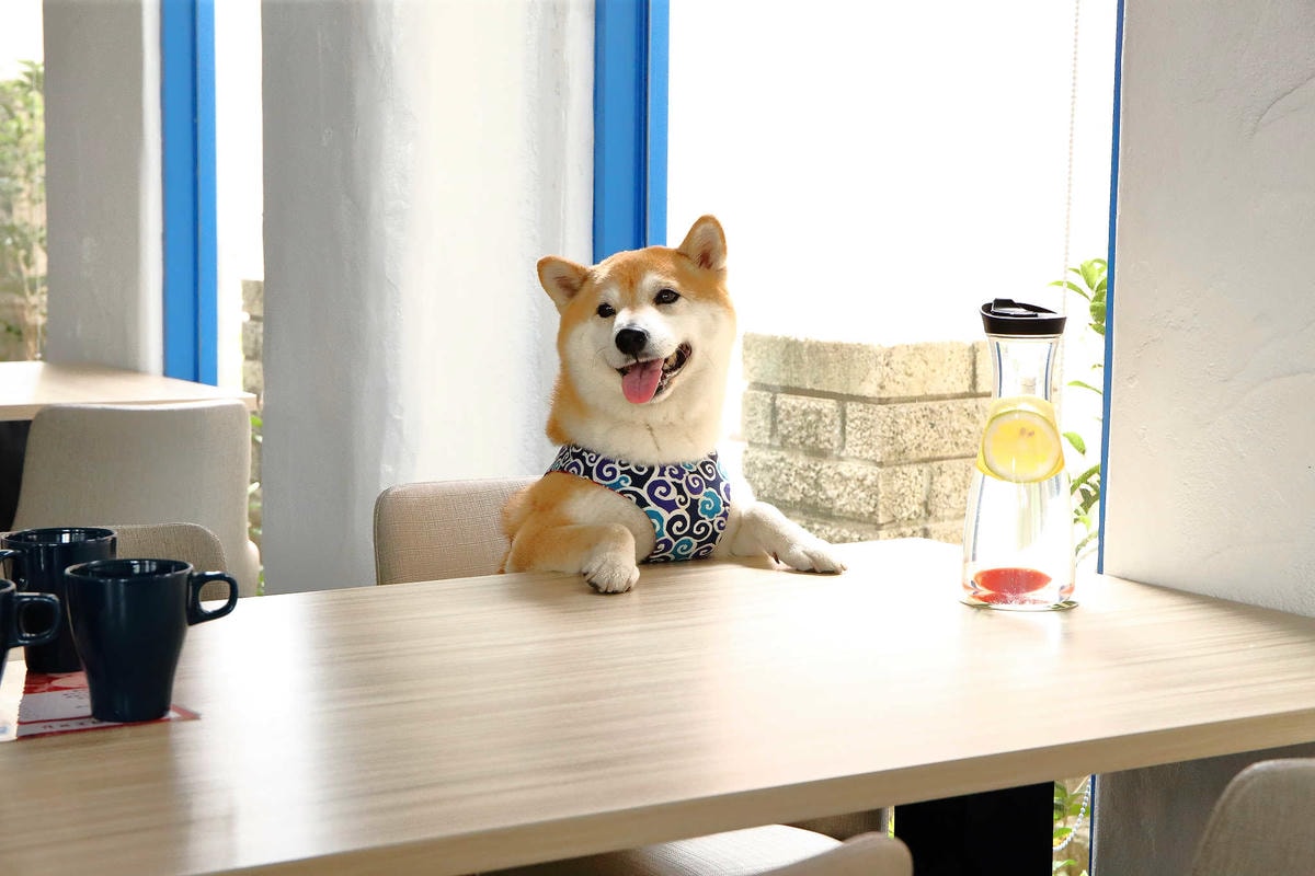 【食。八里】CREMA 93 CAFE〜希臘風海景咖啡廳,重機客最愛,輕食、義大利麵、咖啡、雲朵鬆餅,有吃有玩有美景!