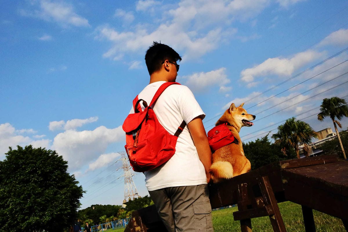 寵物用品狗寵物包2019 必買推薦！每天都好像跟寶貝穿一樣，tripose寵物背包，防潑水/顏色時尚活潑/四季好搭配，透氣又時尚！