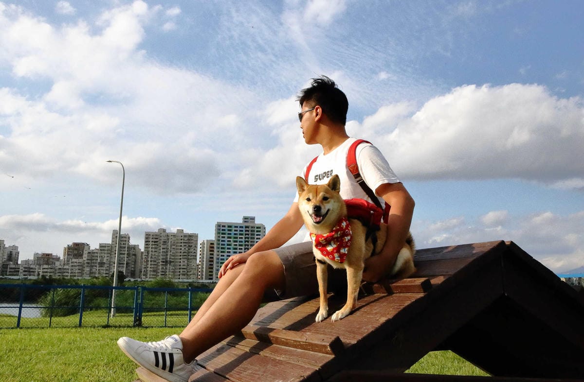 寵物用品狗寵物包2019 必買推薦！每天都好像跟寶貝穿一樣，tripose寵物背包，防潑水/顏色時尚活潑/四季好搭配，透氣又時尚！