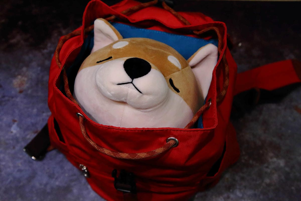 寵物用品狗寵物包2019 必買推薦！每天都好像跟寶貝穿一樣，tripose寵物背包，防潑水/顏色時尚活潑/四季好搭配，透氣又時尚！