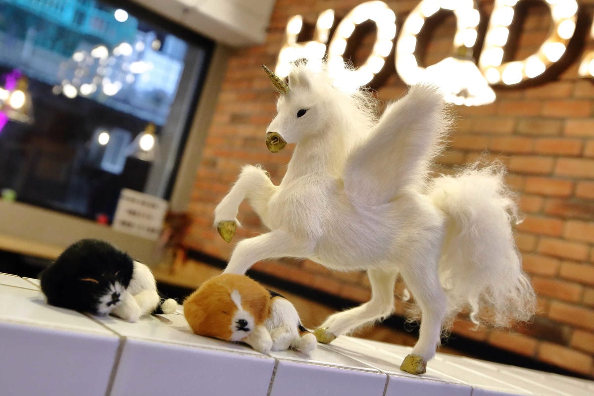 【食。中和】貳Hood.cafe’〜中永和早午餐推薦。被乾燥花包圍,一秒走進少女的夢幻國度,入口即化的舒芙蕾,療癒系甜點!