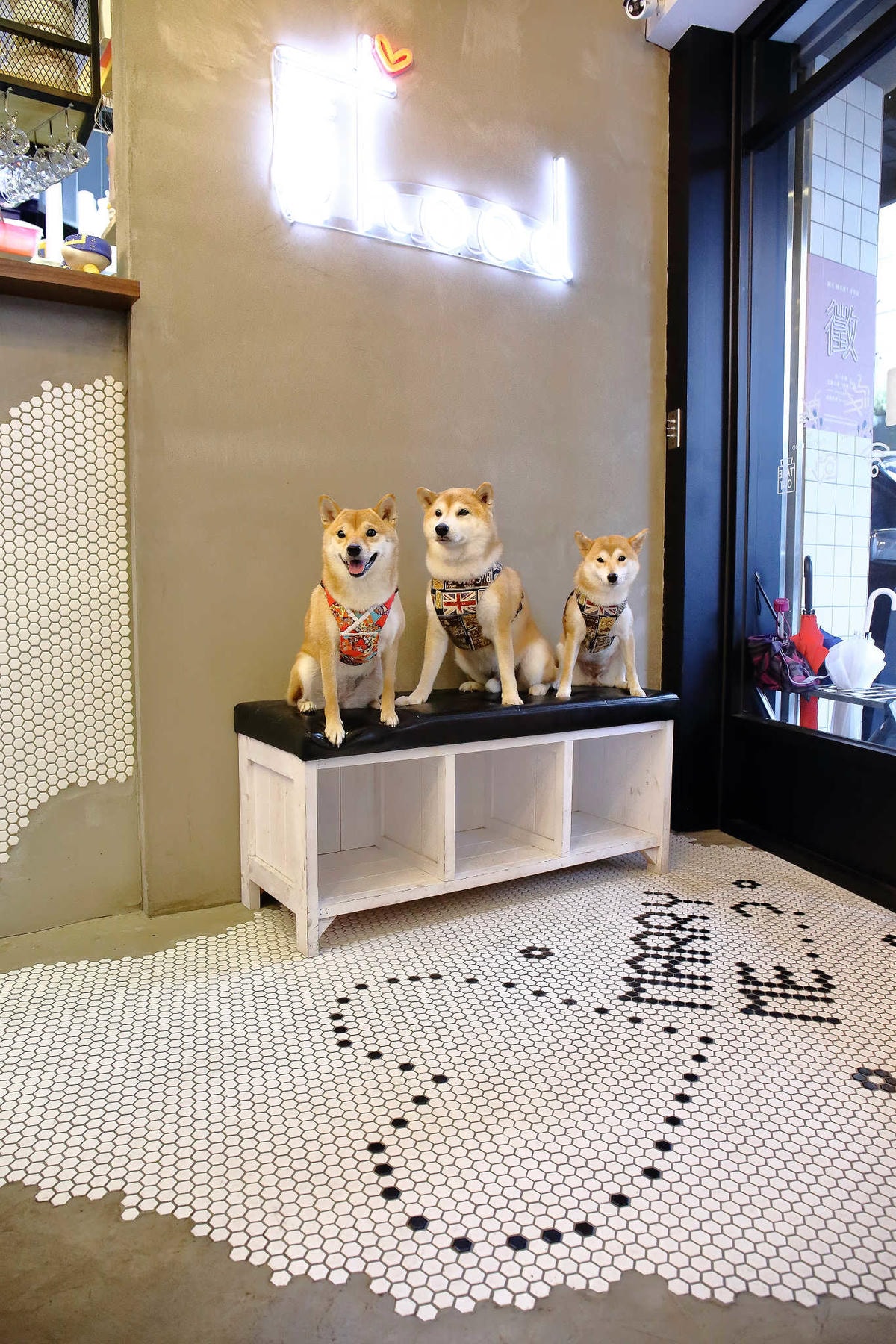 【食。中和】貳Hood.cafe’〜中永和早午餐推薦。被乾燥花包圍,一秒走進少女的夢幻國度,入口即化的舒芙蕾,療癒系甜點!