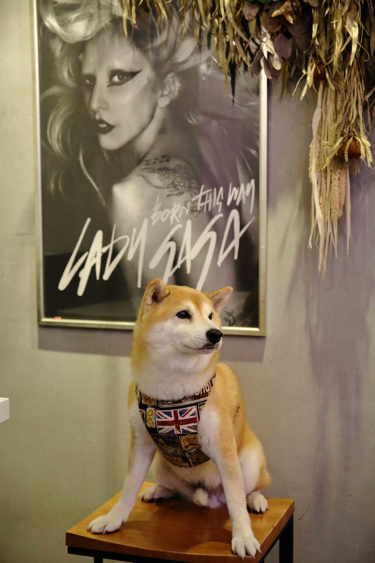 【食。中和】貳Hood.cafe’〜中永和早午餐推薦。被乾燥花包圍,一秒走進少女的夢幻國度,入口即化的舒芙蕾,療癒系甜點!