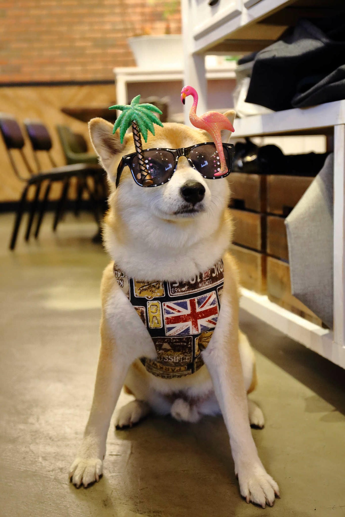 【食。中和】貳Hood.cafe’〜中永和早午餐推薦。被乾燥花包圍,一秒走進少女的夢幻國度,入口即化的舒芙蕾,療癒系甜點!