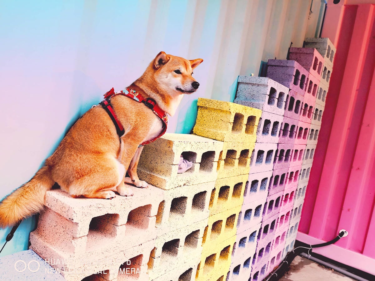 桃園新亮點!首座貨櫃市集「G10 GO!市集」11/3正式開幕,藝文特區打卡新地標!(已歇業)