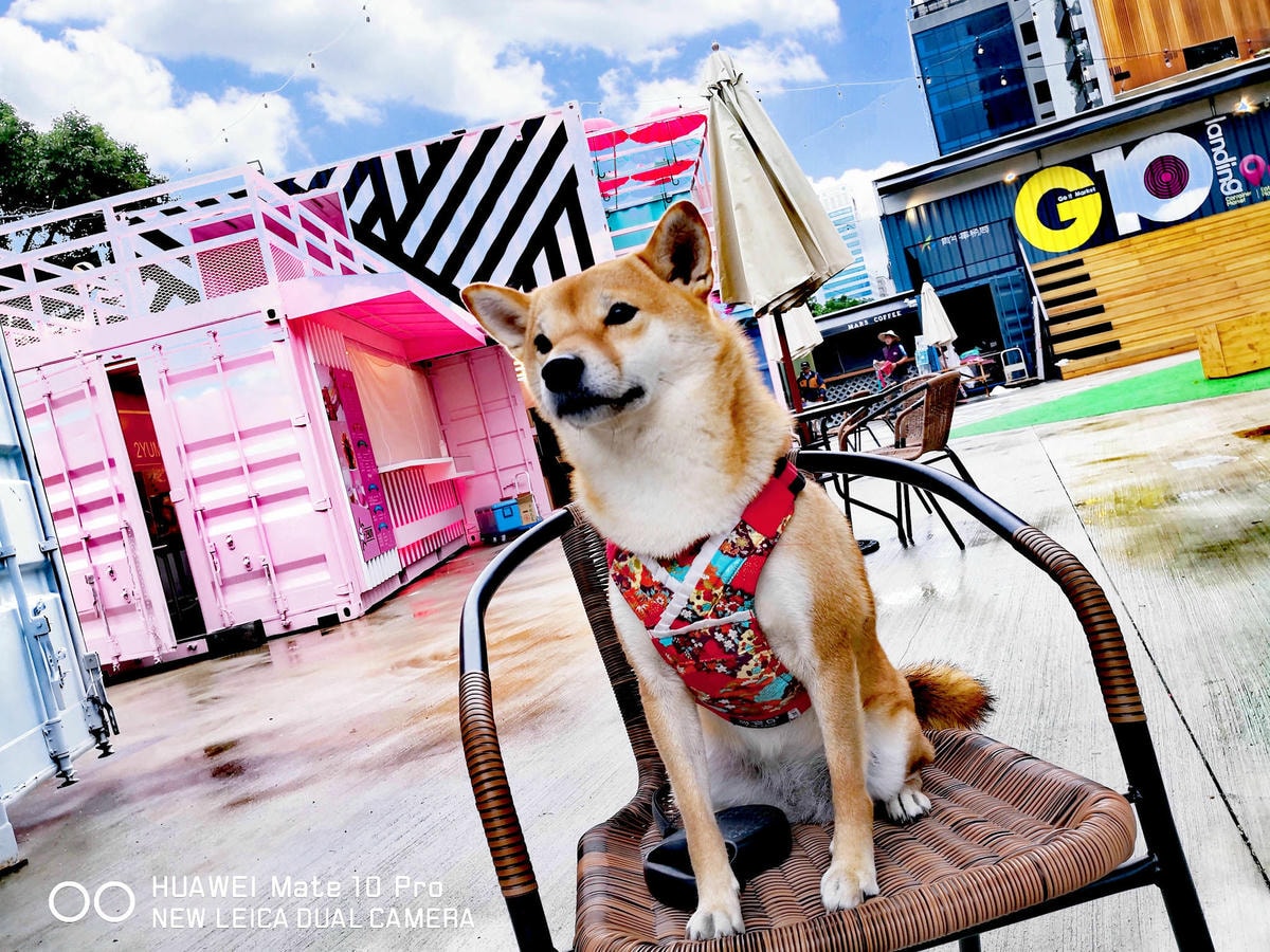 桃園新亮點!首座貨櫃市集「G10 GO!市集」11/3正式開幕,藝文特區打卡新地標!(已歇業)