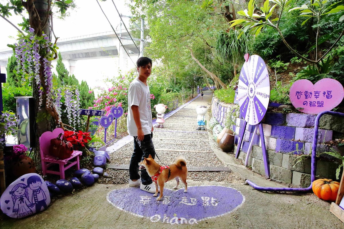 【遊。苗栗】噢哈娜咖啡屋〜寵物旅遊景點。會跟著你飛的雨傘！紫色風暴來襲，完全沉浸在這片紫色浪漫(110.3.1起寵物禁止入園)
