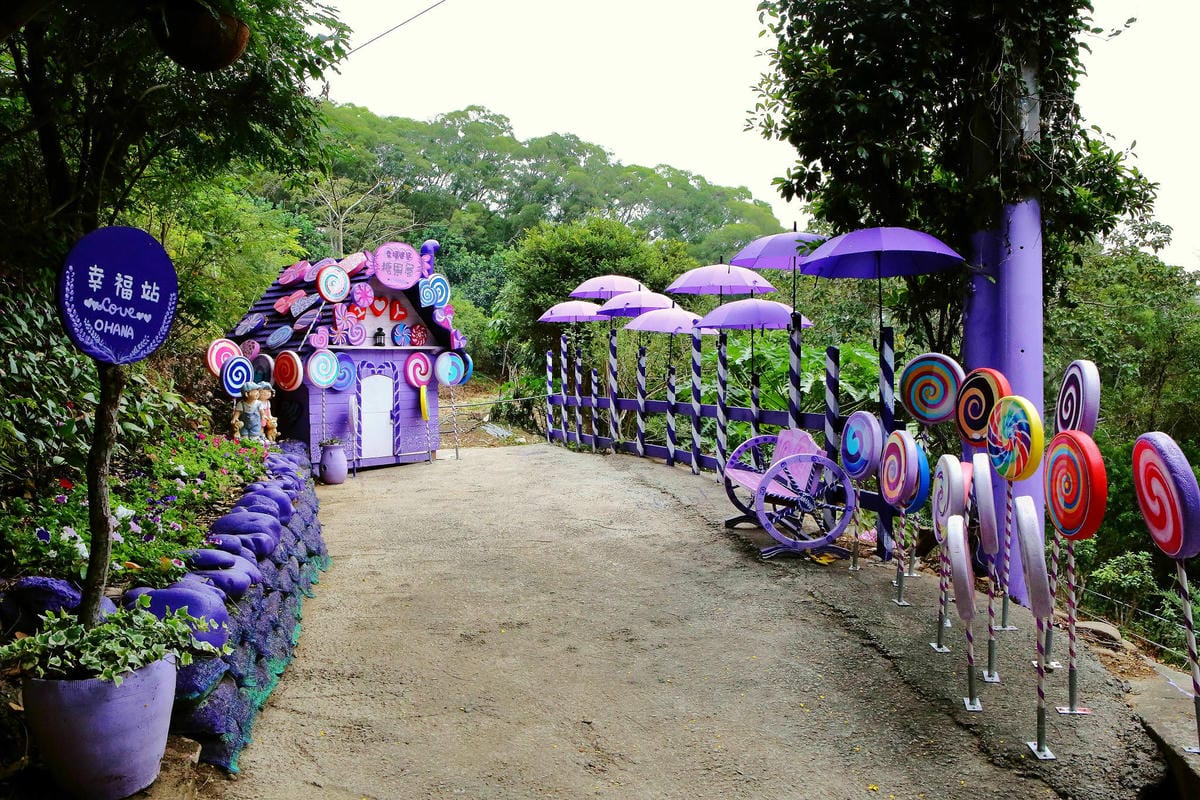 【遊。苗栗】噢哈娜咖啡屋〜寵物旅遊景點。會跟著你飛的雨傘！紫色風暴來襲，完全沉浸在這片紫色浪漫(110.3.1起寵物禁止入園)