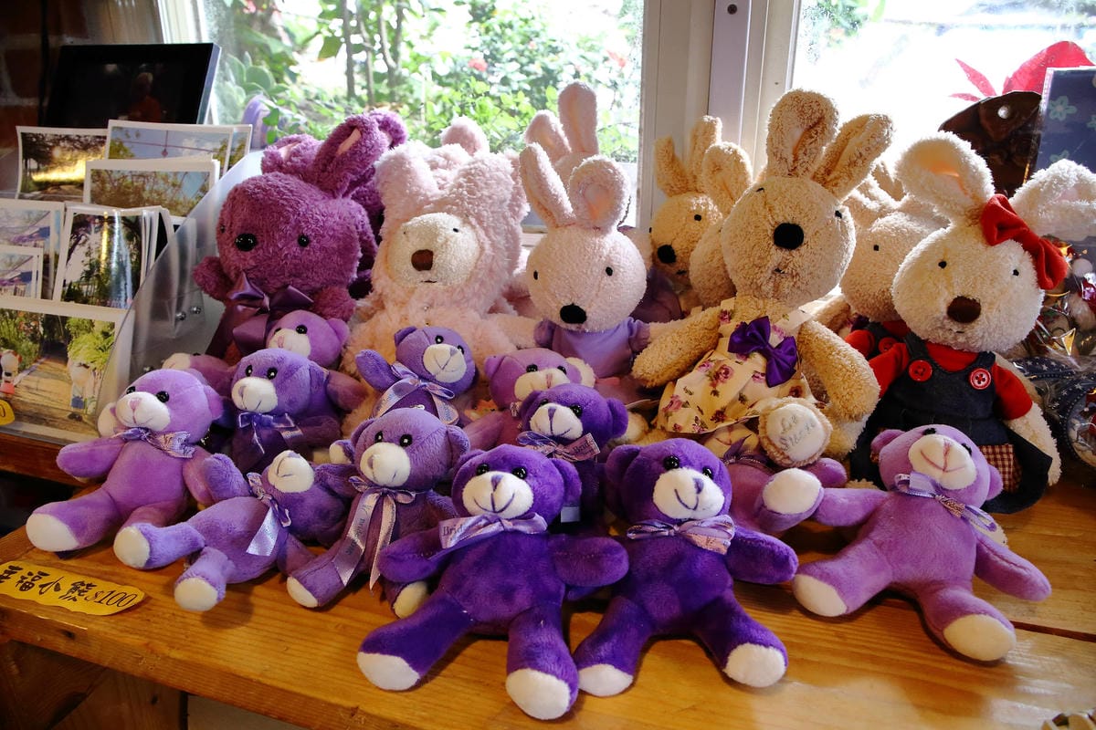 【遊。苗栗】噢哈娜咖啡屋〜寵物旅遊景點。會跟著你飛的雨傘！紫色風暴來襲，完全沉浸在這片紫色浪漫(110.3.1起寵物禁止入園)