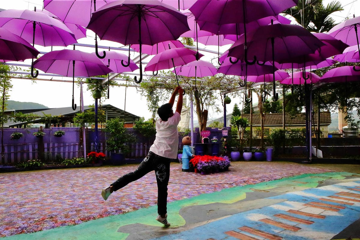 【遊。苗栗】噢哈娜咖啡屋〜寵物旅遊景點。會跟著你飛的雨傘！紫色風暴來襲，完全沉浸在這片紫色浪漫(110.3.1起寵物禁止入園)