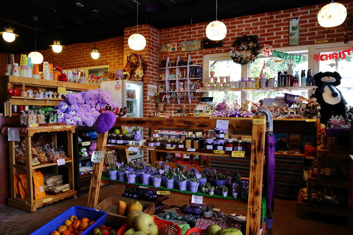 【遊。苗栗】噢哈娜咖啡屋〜寵物旅遊景點。會跟著你飛的雨傘！紫色風暴來襲，完全沉浸在這片紫色浪漫(110.3.1起寵物禁止入園)