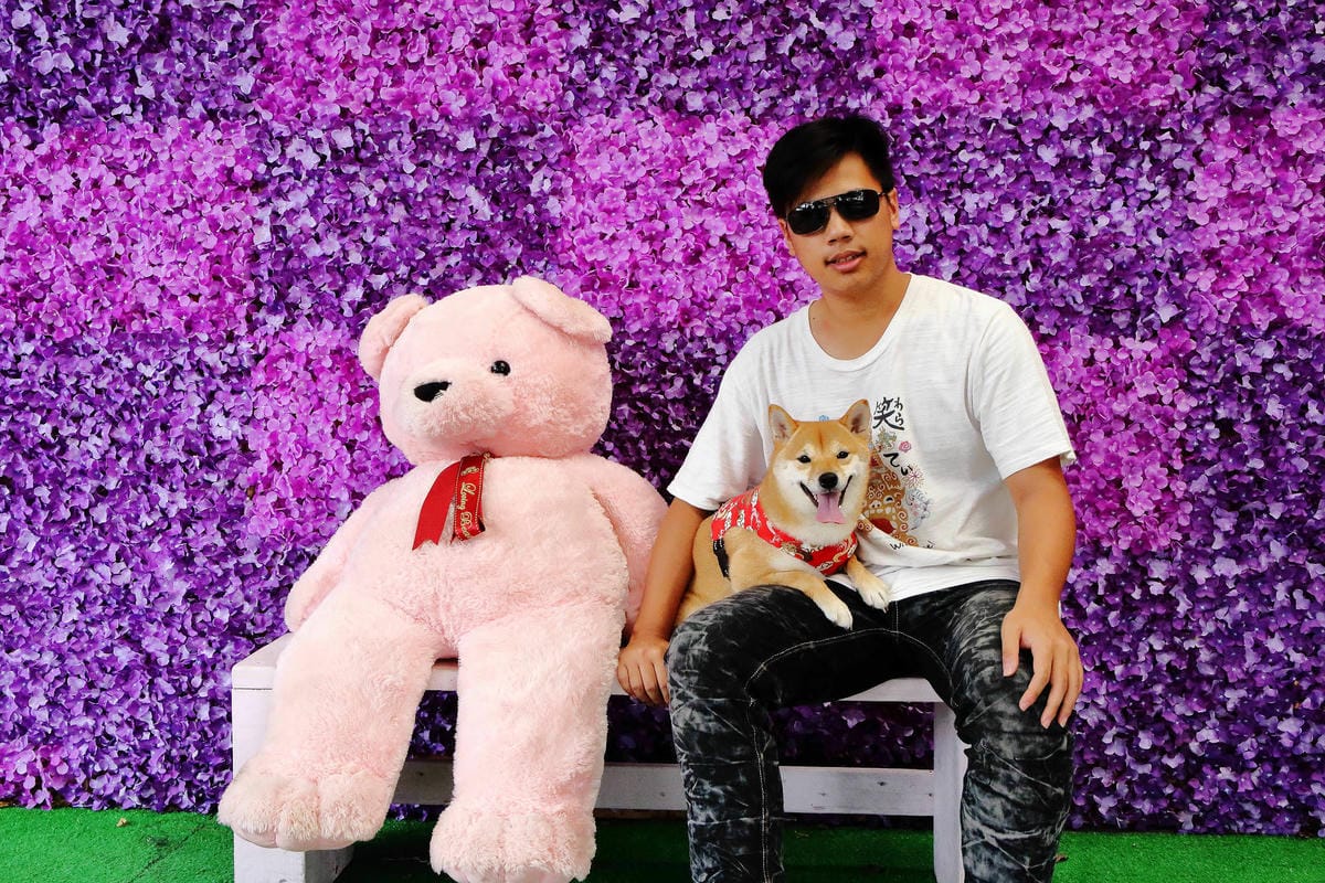 【遊。苗栗】噢哈娜咖啡屋〜寵物旅遊景點。會跟著你飛的雨傘！紫色風暴來襲，完全沉浸在這片紫色浪漫(110.3.1起寵物禁止入園)