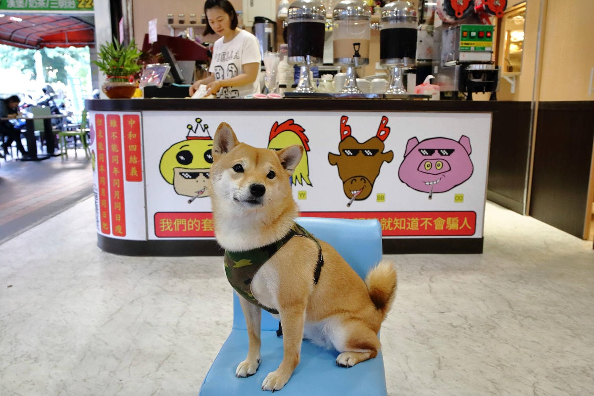 【食。中和】3King早午餐〜親民銅板價炙烤火焰原肉片,飲料無限暢飲,早餐就是要吃得豐盛飽足!(已歇業)