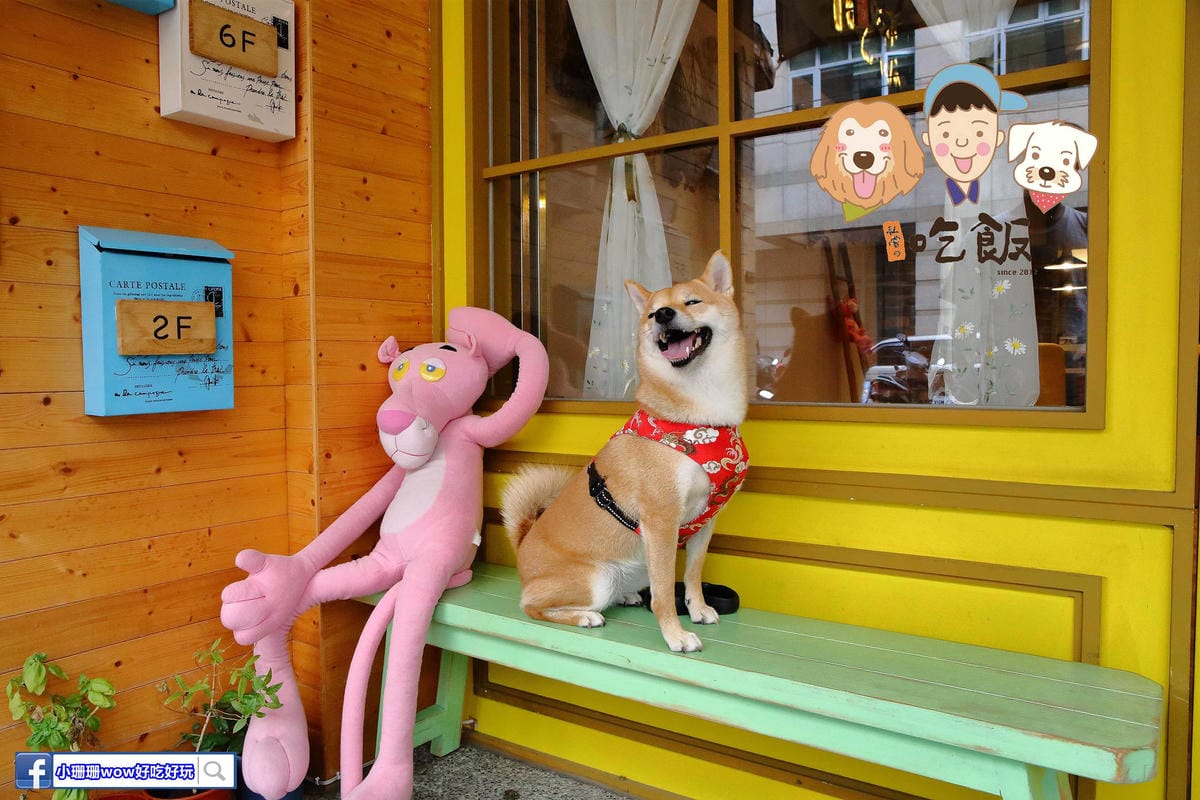 【食。新竹】私嚐の吃飯〜新竹寵物友善餐聽。份量豪邁、創意十足的丼飯一吃就上癮！(寵物可落地+寵物餐)