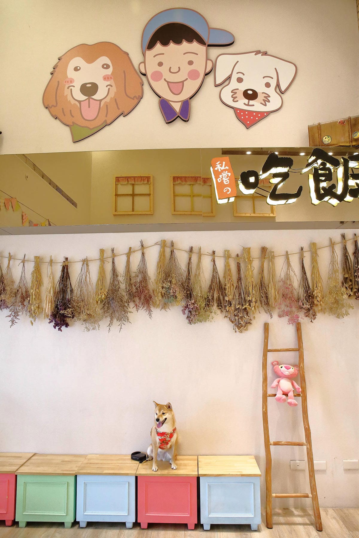 【食。新竹】私嚐の吃飯〜新竹寵物友善餐聽。份量豪邁、創意十足的丼飯一吃就上癮！(寵物可落地+寵物餐)