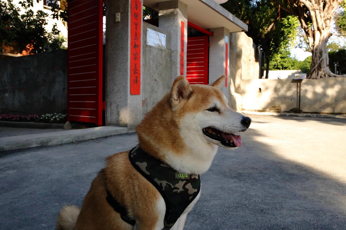 【遊。三重】空軍三重一村〜重新開園!重現空軍眷村,無料參觀親子活動,IG熱門打卡景點白天晚上都好拍照!