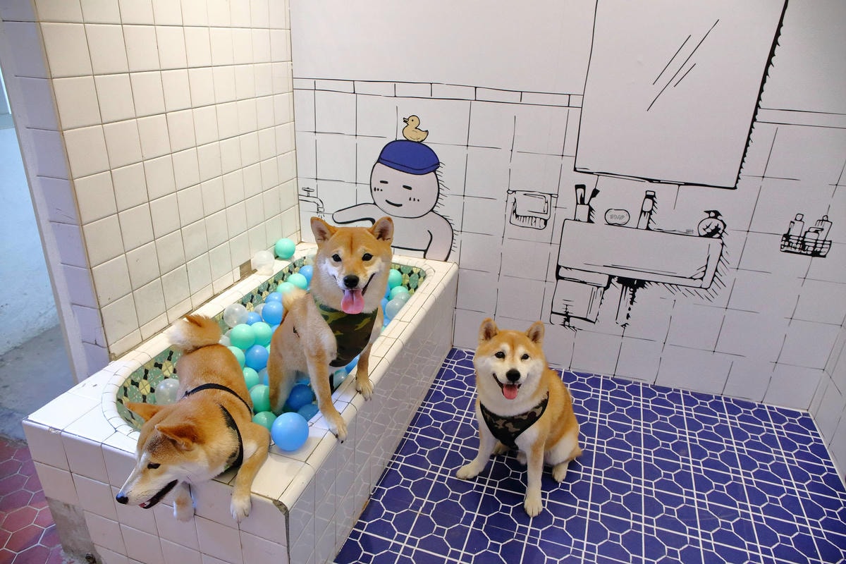 【遊。三重】空軍三重一村〜重新開園!重現空軍眷村,無料參觀親子活動,IG熱門打卡景點白天晚上都好拍照!