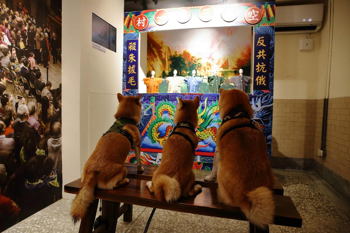 【遊。三重】空軍三重一村〜重新開園!重現空軍眷村,無料參觀親子活動,IG熱門打卡景點白天晚上都好拍照!