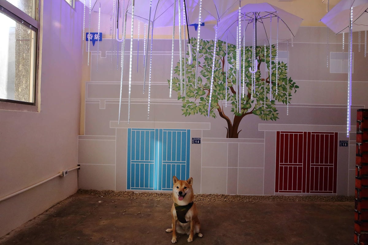 【遊。三重】空軍三重一村〜重新開園!重現空軍眷村,無料參觀親子活動,IG熱門打卡景點白天晚上都好拍照!