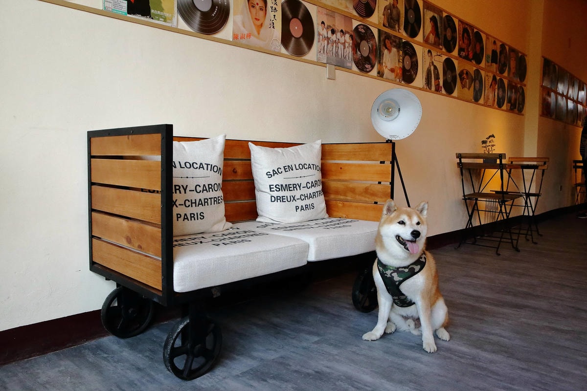 【遊。三重】空軍三重一村〜重新開園!重現空軍眷村,無料參觀親子活動,IG熱門打卡景點白天晚上都好拍照!