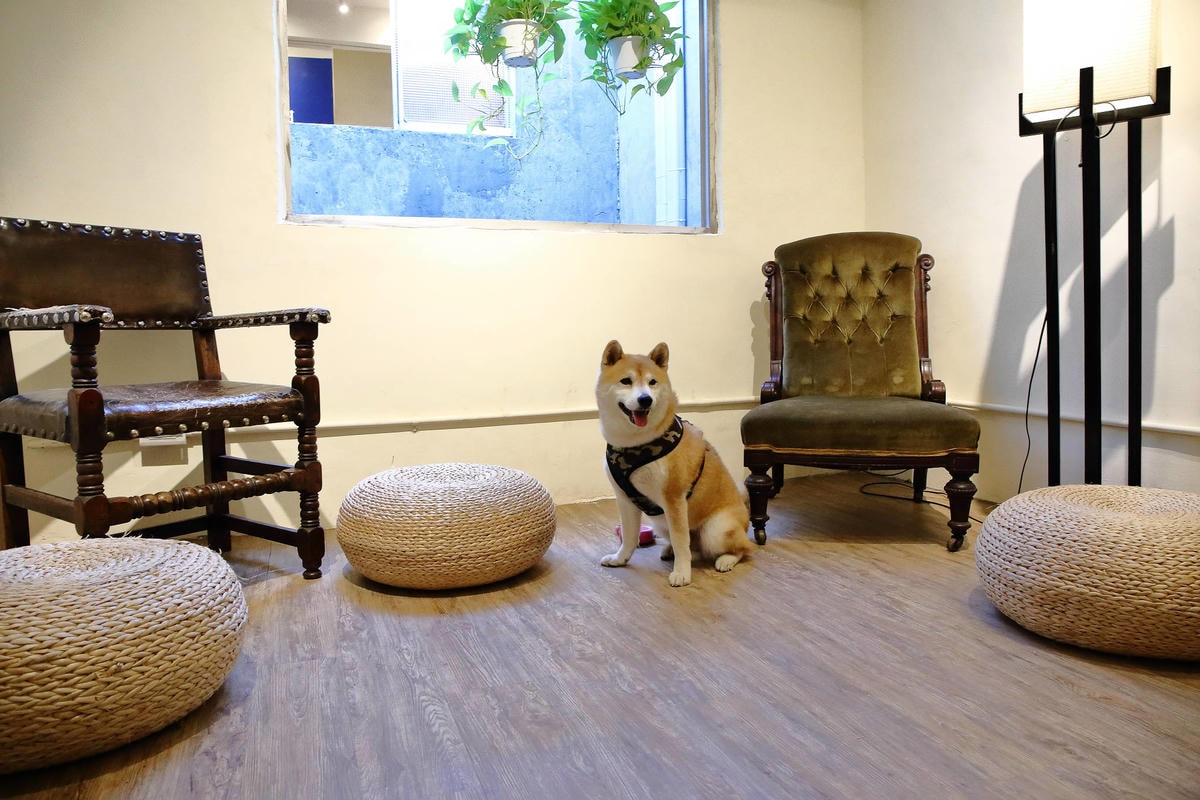 【遊。三重】空軍三重一村〜重新開園!重現空軍眷村,無料參觀親子活動,IG熱門打卡景點白天晚上都好拍照!