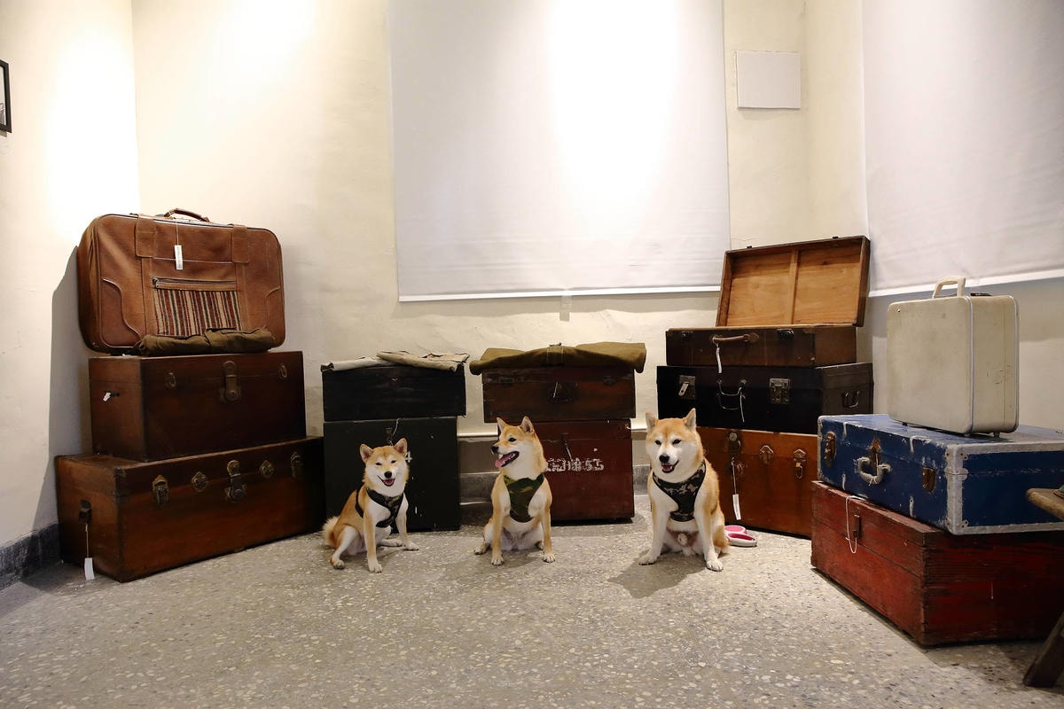 【遊。三重】空軍三重一村〜重新開園!重現空軍眷村,無料參觀親子活動,IG熱門打卡景點白天晚上都好拍照!