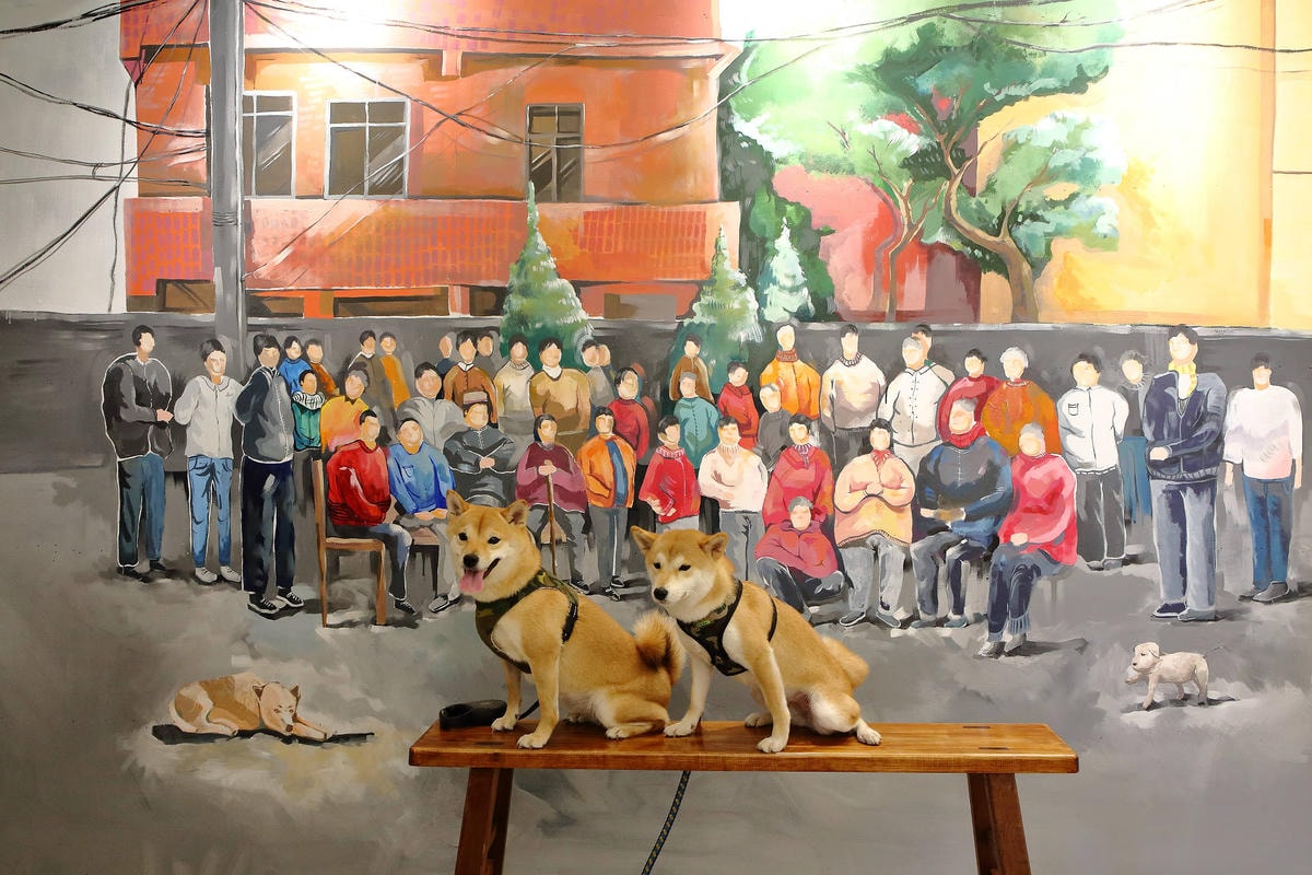 【遊。三重】空軍三重一村〜重新開園!重現空軍眷村,無料參觀親子活動,IG熱門打卡景點白天晚上都好拍照!