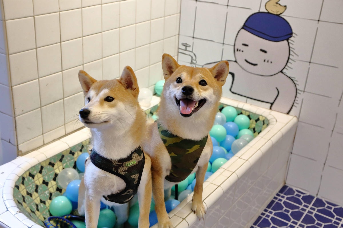 【遊。三重】空軍三重一村〜重新開園!重現空軍眷村,無料參觀親子活動,IG熱門打卡景點白天晚上都好拍照!