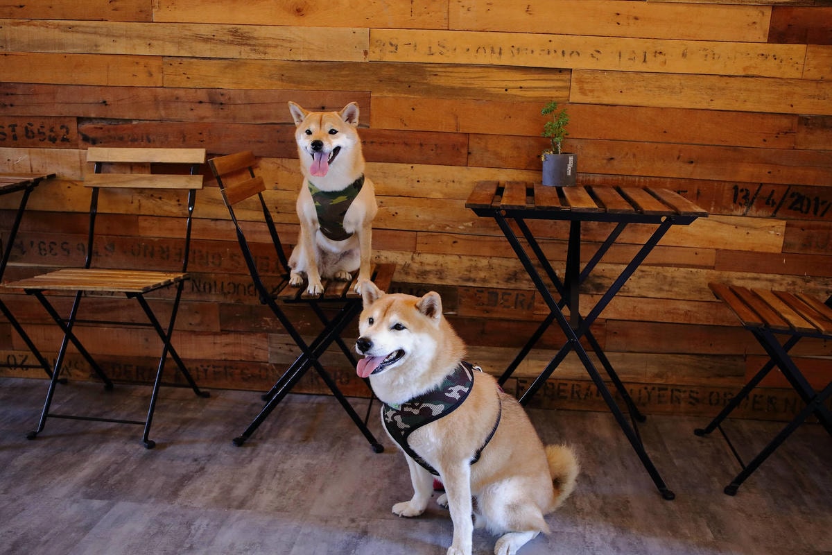 【遊。三重】空軍三重一村〜重新開園!重現空軍眷村,無料參觀親子活動,IG熱門打卡景點白天晚上都好拍照!