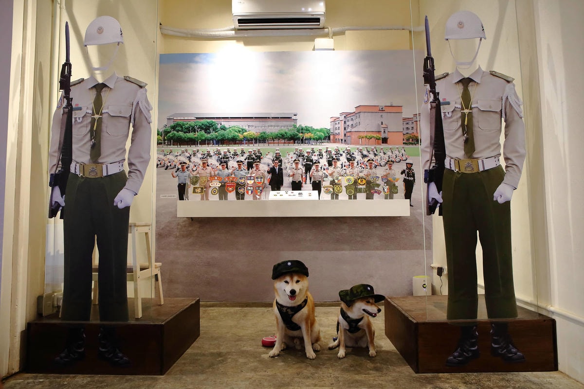 【遊。三重】空軍三重一村〜重新開園!重現空軍眷村,無料參觀親子活動,IG熱門打卡景點白天晚上都好拍照!