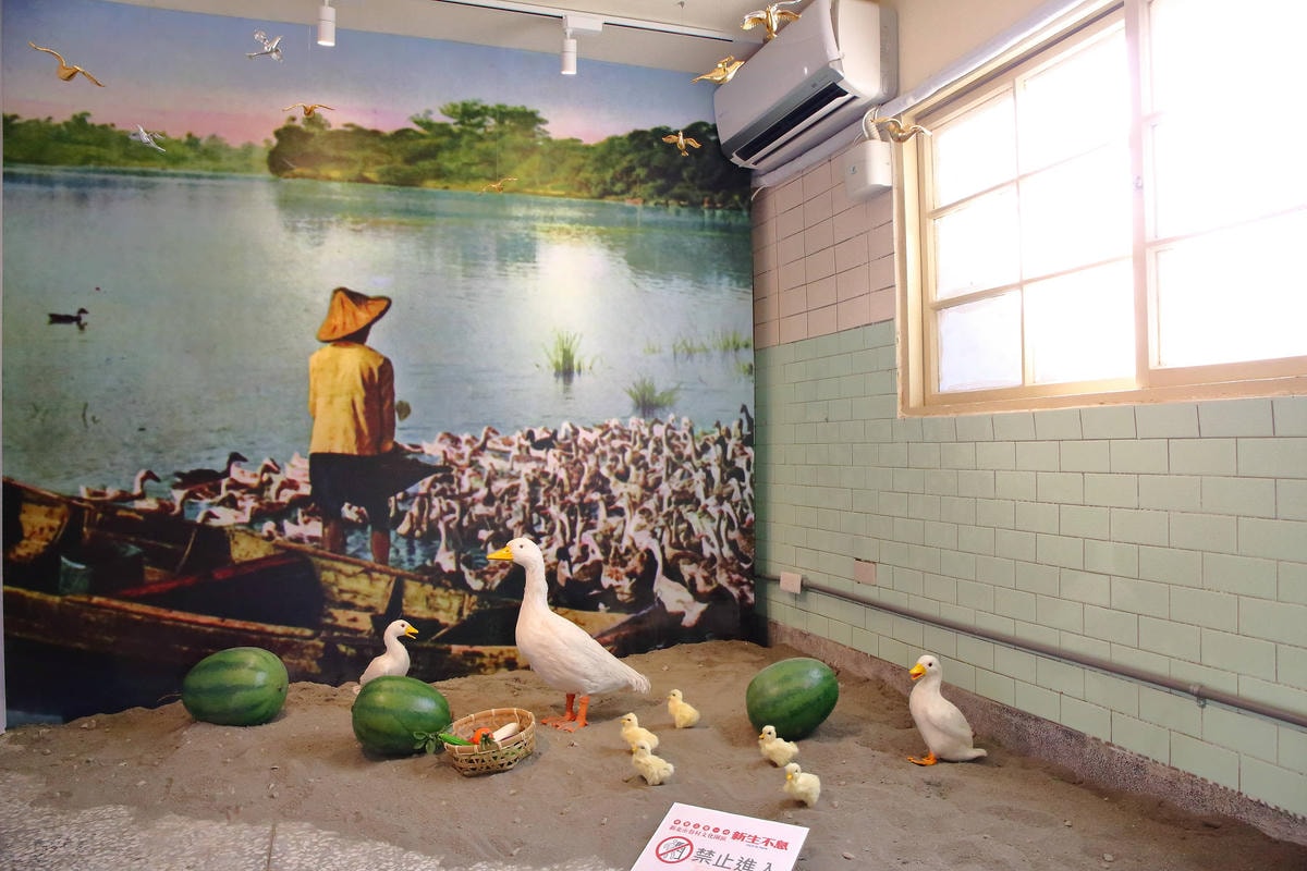 【遊。三重】空軍三重一村〜重新開園!重現空軍眷村,無料參觀親子活動,IG熱門打卡景點白天晚上都好拍照!