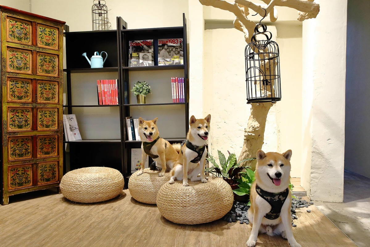 【遊。三重】空軍三重一村〜重新開園!重現空軍眷村,無料參觀親子活動,IG熱門打卡景點白天晚上都好拍照!