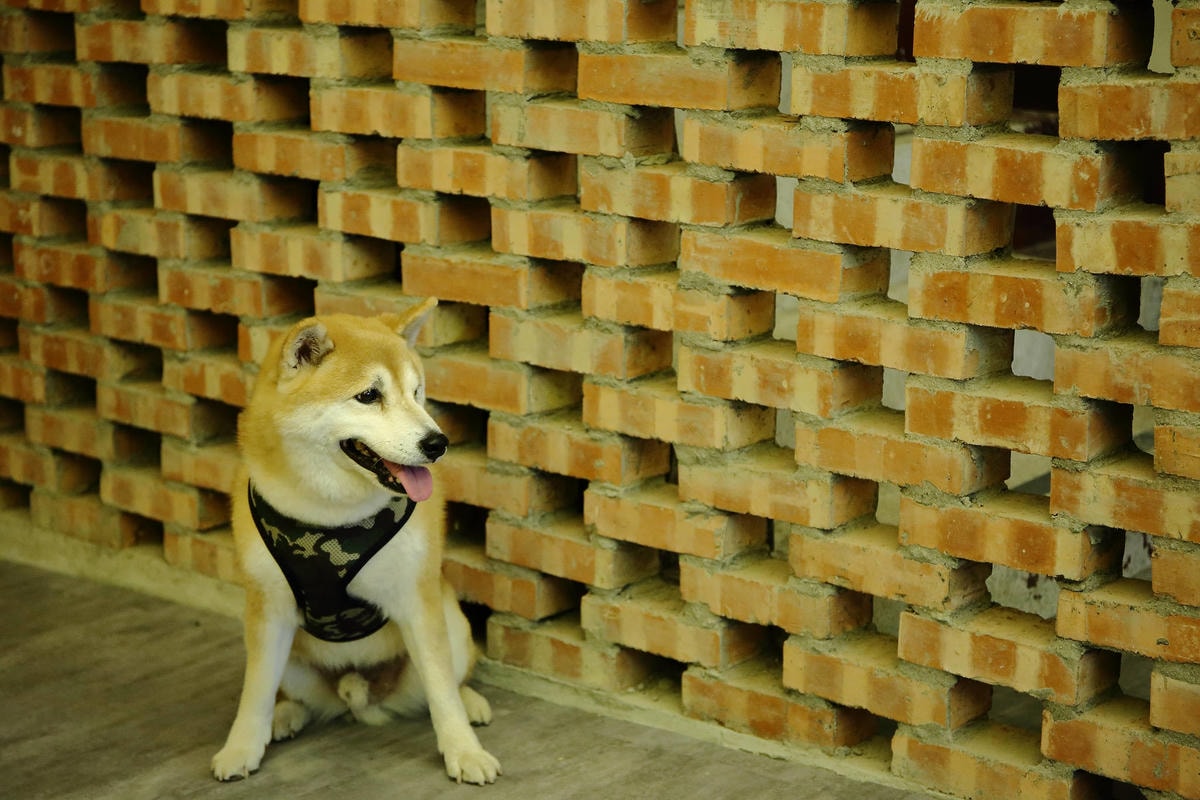 【遊。三重】空軍三重一村〜重新開園!重現空軍眷村,無料參觀親子活動,IG熱門打卡景點白天晚上都好拍照!