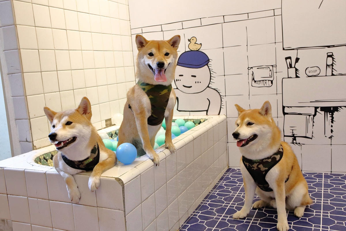 【遊。三重】空軍三重一村〜重新開園!重現空軍眷村,無料參觀親子活動,IG熱門打卡景點白天晚上都好拍照!