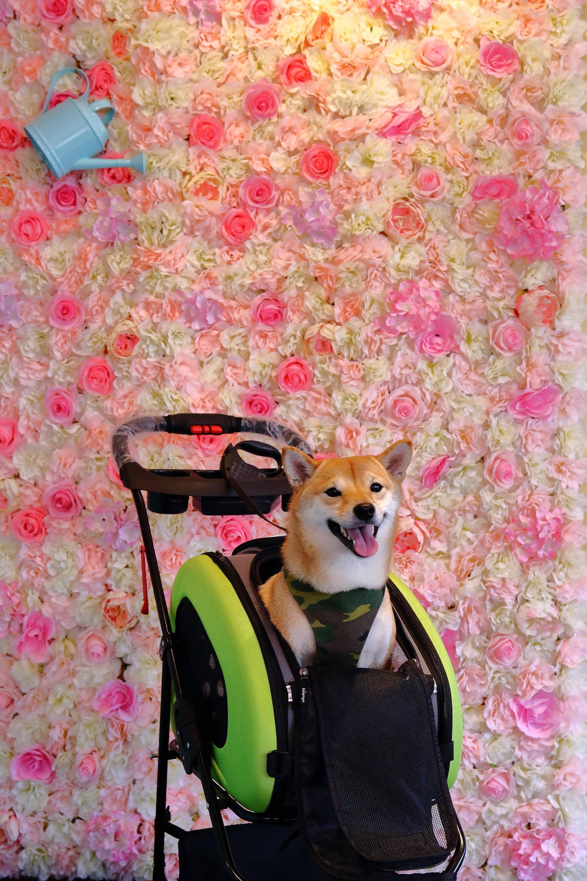 【食。桃園】大瑋叔叔手作大福〜夢幻粉紅屋好拍療癒系甜點,冬季限定草莓大福酸甜登場!