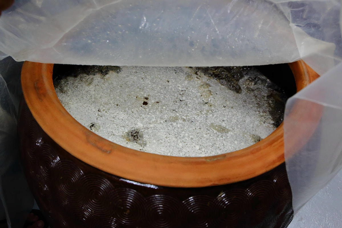 【食。台中】黃金張老甕東北酸菜鍋〜超人氣酸菜白肉鍋!雙人套餐、超值優惠,道地的東北口味,零負評!