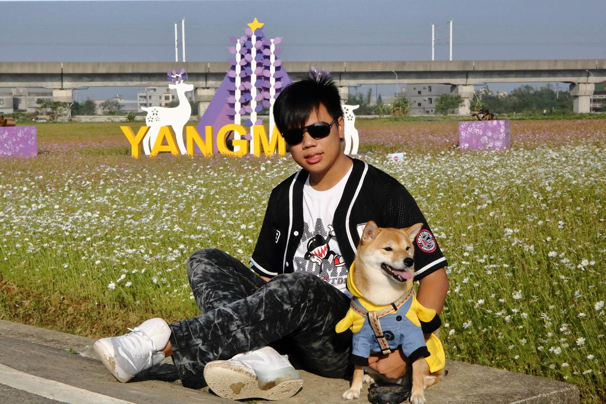 【2018桃園花彩節】楊梅+龍潭尋花趣〜2018IG打卡、情侶約會新景點！浪漫紫色仙草花海，不用出國免費讓你拍個夠！