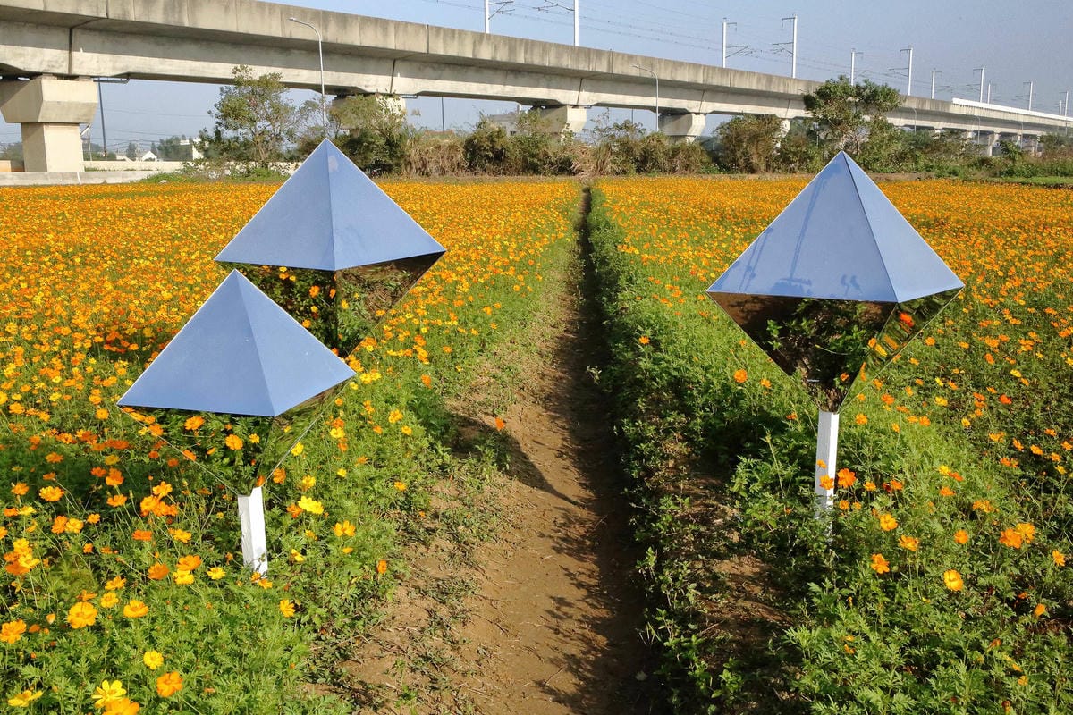 【2018桃園花彩節】楊梅+龍潭尋花趣〜2018IG打卡、情侶約會新景點！浪漫紫色仙草花海，不用出國免費讓你拍個夠！