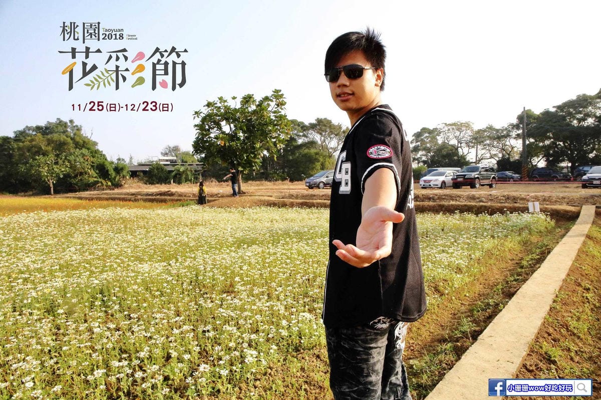 【2018桃園花彩節】楊梅+龍潭尋花趣〜2018IG打卡、情侶約會新景點！浪漫紫色仙草花海，不用出國免費讓你拍個夠！