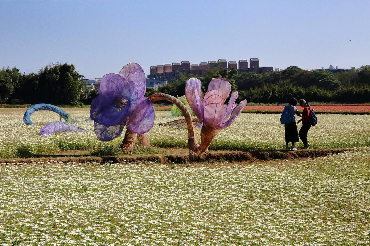 【2018桃園花彩節】楊梅+龍潭尋花趣〜2018IG打卡、情侶約會新景點！浪漫紫色仙草花海，不用出國免費讓你拍個夠！