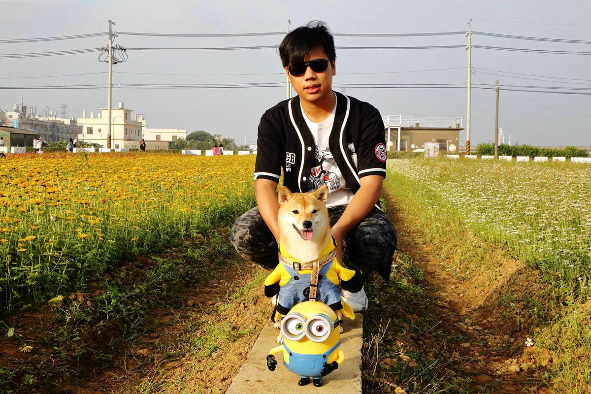 【2018桃園花彩節】楊梅+龍潭尋花趣〜2018IG打卡、情侶約會新景點！浪漫紫色仙草花海，不用出國免費讓你拍個夠！