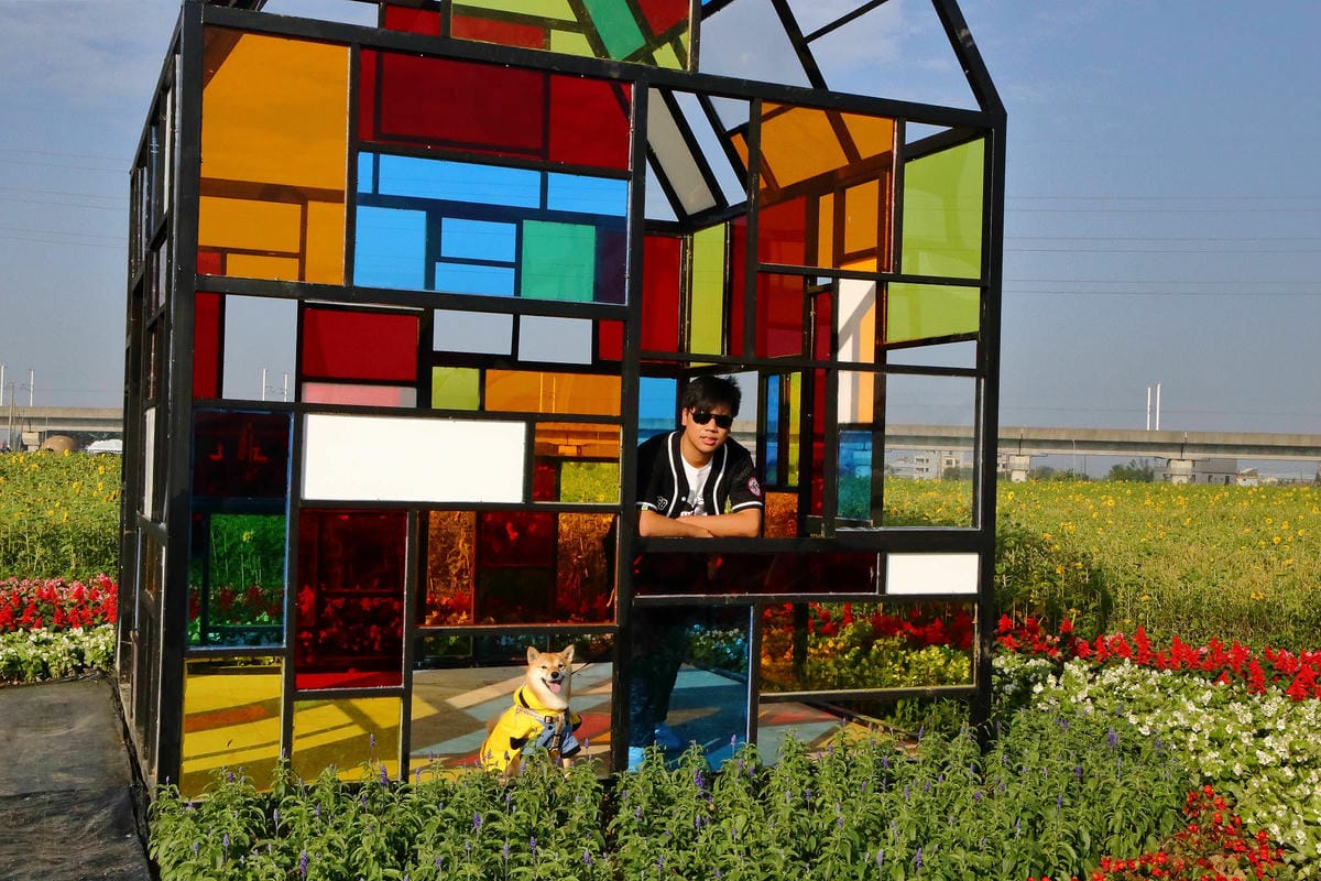 【2018桃園花彩節】楊梅+龍潭尋花趣〜2018IG打卡、情侶約會新景點！浪漫紫色仙草花海，不用出國免費讓你拍個夠！