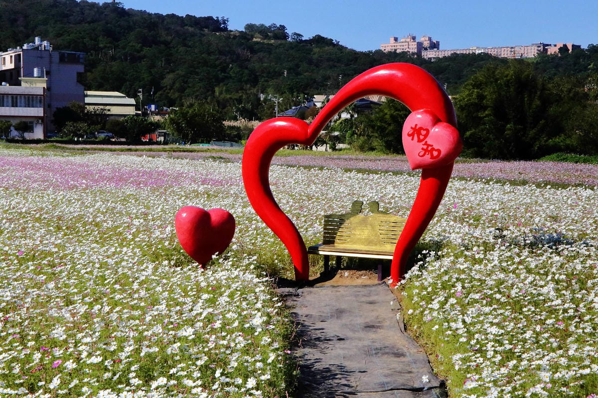 【2018桃園花彩節】楊梅+龍潭尋花趣〜2018IG打卡、情侶約會新景點！浪漫紫色仙草花海，不用出國免費讓你拍個夠！