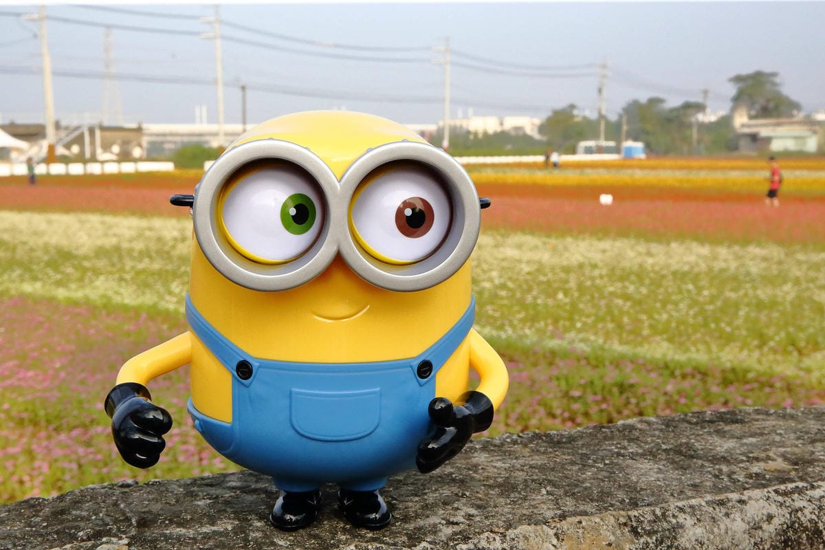 【2018桃園花彩節】楊梅+龍潭尋花趣〜2018IG打卡、情侶約會新景點！浪漫紫色仙草花海，不用出國免費讓你拍個夠！